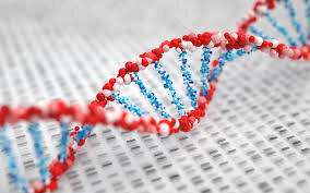 ساخت یک موتور مولکولی چرخشی با کمک DNA