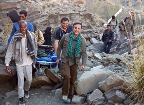 ماده پلنگ هرمزگان برای معالجه به تهران منتقل شد