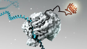 پیامرسان RNA واکسن کووید-۱۹ را برای ما آورد؛ آیا درمان را هم خواهد آورد؟