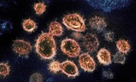 بررسی علائم ویروس کرونا در سویه جدید