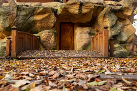 ایران زیباست؛ پارک جنگلی ساری