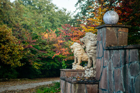 ایران زیباست؛ پارک جنگلی ساری