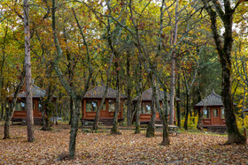 ایران زیباست؛ پارک جنگلی ساری
