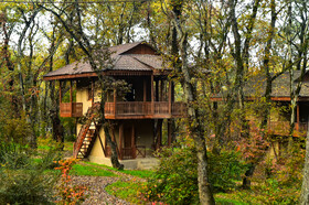 ایران زیباست؛ پارک جنگلی ساری