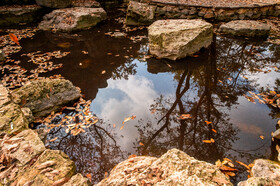 ایران زیباست؛ پارک جنگلی ساری