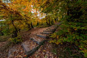 ایران زیباست؛ پارک جنگلی ساری