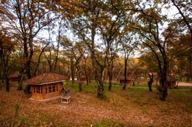 ایران زیباست؛ پارک جنگلی ساری