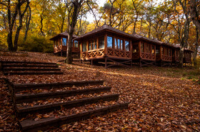 ایران زیباست؛ پارک جنگلی ساری