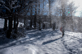 زمستان در شمالی‌ترین «موزه طبیعی» ایران - ارتفاعات «ستوم» در شهرستان مرزی بندر آستارا