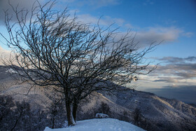 زمستان در شمالی‌ترین «موزه طبیعی» ایران - ارتفاعات «ستوم» در شهرستان مرزی بندر آستارا