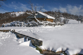 زمستان در شمالی‌ترین «موزه طبیعی» ایران - ارتفاعات «ستوم» در شهرستان مرزی بندر آستارا