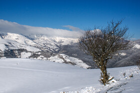 زمستان در شمالی‌ترین «موزه طبیعی» ایران - ارتفاعات «ستوم» در شهرستان مرزی بندر آستارا