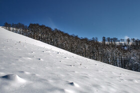 زمستان در شمالی‌ترین «موزه طبیعی» ایران - ارتفاعات «ستوم» در شهرستان مرزی بندر آستارا