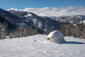 زمستان در شمالی‌ترین «موزه طبیعی» ایران - ارتفاعات «ستوم» در شهرستان مرزی بندر آستارا