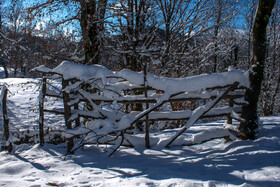 زمستان در شمالی‌ترین «موزه طبیعی» ایران - ارتفاعات «ستوم» در شهرستان مرزی بندر آستارا