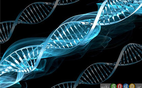 برگزاری کارگاه آموزشی‌ «نشانه‌های انتخاب»