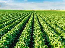 فـراتـحـلـیـل در عـلوم کـشاورزی