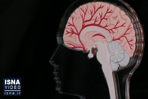 ویدئو / از آسیب جدید مغزی بیماران کرونا تا خوش‌شانسی زمین در داشتن حیات