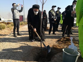 برگزاری آئین کاشت ۱۷۶ نهال به یاد شهدای پرواز ۷۵۲
