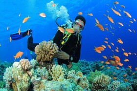 غواصی کیش لذت دیدن آبزیان و مرجان ها