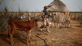 زخمی شدن ۶ سرباز فرانسوی در حمله انتحاری در مالی