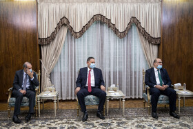 دیدار وزیر تجارت عراق با معاون اول رئیس جمهور