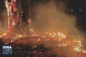 ویدئو / مهار آتش‌سوزی در جنگل‌های سراوان رشت