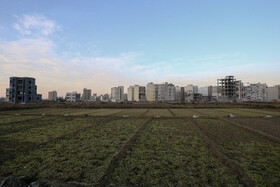 تمایل به شهرنشینی روستاییان و افزایش جمعیت شهر همدان، باعث شده  بسیاری از زمینهای کشاورزی حاصلخیز و باغهای این شهر تبدیل به محلات مسکونی شد.