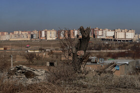 بسیاری از منفعتطلبان اقدام به خشکاندن و آتش زدن درختانی میکنند که سالیان سال اکسیژن این شهر را تامین میکردند و به جای آن آپارتمان میسازند.