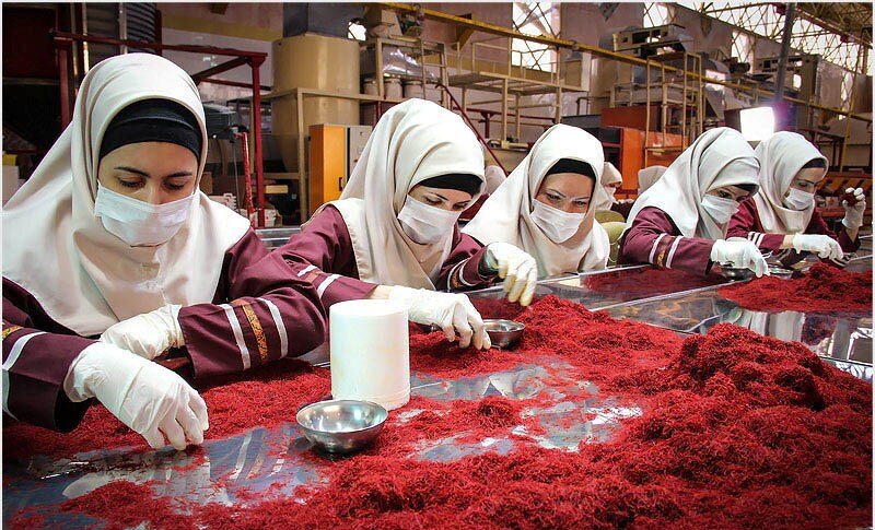 حمایت "منتا" از طرح های اولویت دار تعاونی در استان ها