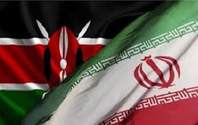 همکاری ایران و کنیا در توسعه خدمات الکترونیکی