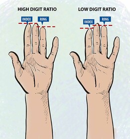 طول انگشتان عادات غذایی افراد را نشان می‌دهد!