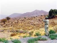 جنگلبانان گمنامان منابع طبیعی