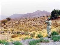 جنگلبانان گمنامان منابع طبیعی