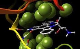 کارگاه آنلاین داکینگ مولکولی برگزار می‌شود