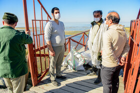 مرگ پرندگان پناهگاه حیات وحش میانکاله