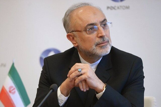 صالحی: دستاوردهای صنعت هسته‌ای برای رفاه مردم در سطح ملی است