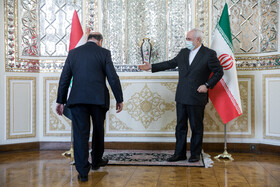 دیدار فواد حسین، وزیر امور خارجه عراق با محمد جواد ظریف، وزیر امور خارجه