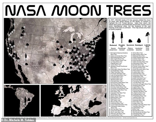 ناسا نقشه درختان ماه را منتشر کرد