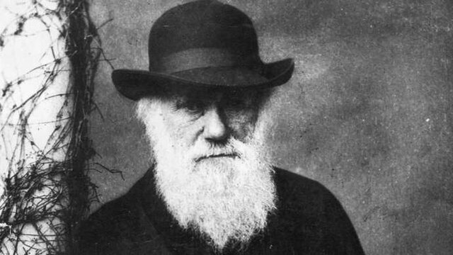 "داروین" چگونه "داروین" شد؟!