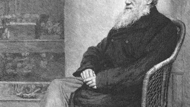 "داروین" چگونه "داروین" شد؟!