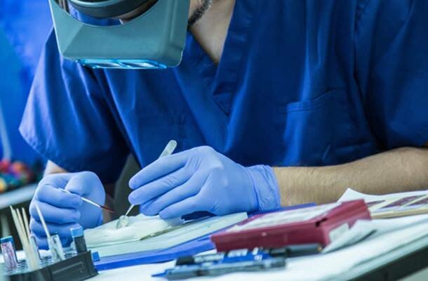 برگزاری کارگاه مشترک بین دانشگاه صنعتی شریف و یک دانشگاه از ترکیه 