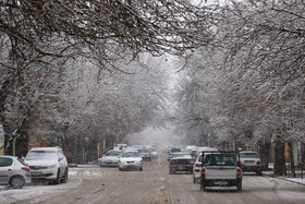همدان برفی - خیابان پاسداران