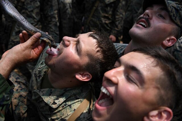 “جلو سربازان را در نوشیدن خون مار و خوردن رتیل زنده بگیرید”