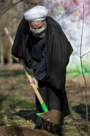 مراسم روز درختکاری با حضور ریاست جمهوری