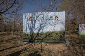 مراسم روز درختکاری با حضور ریاست جمهوری