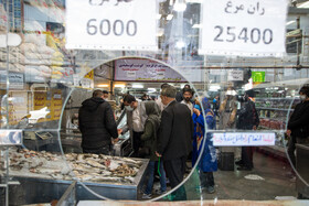 بازدید ماموران سازمان تعزیرات از مراکز عرضه گوشت و مرغ در شرق تهران