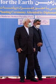 کاشت نهال دوستی "با هم برای زمین "