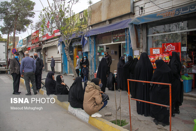 ساماندهی بازار مرغ در قزوین از شنبه!