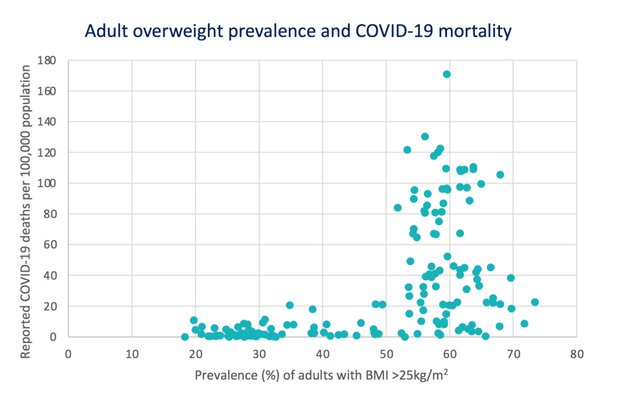 چاقی به عنوان فاکتور خطر اصلی ابتلای شدید به کووید-۱۹ تایید شد